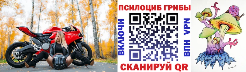 Псилоцибиновые грибы GOLDEN TEACHER Липки